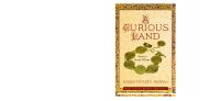 A Curious Land: Stories from Home [1 ed.]
 9781613764381, 9781625341877