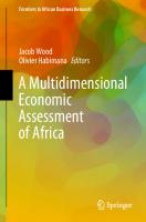 A Multidimensional Economic Assessment of Africa [1st ed.]
 9789811545092, 9789811545108