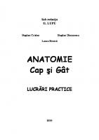 ANATOMIE Cap şi Gât LUCRĂRI PRACTICE Anatomia Omului Anatomie Umana