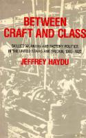 Between Craft and Class: Skilled Workers and Factory Politics in the United States and Britain, 1890-1922
 0520060601, 9780520060609