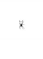 Common Spiders of North America
 9780520954502