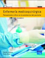 Enfermeria Medicoquirurgica Vol II