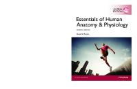 Essentials of Human Anatomy & Physiology [Eleventh Edition ; Global Edition.]
 9781292057200, 1292057203