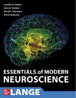 Essentials of Modern Neuroscience
 9780071849050, 007184905X