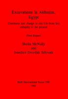 Excavations in Akhmīm, Egypt: Continuity and change in city life from late antiquity to the present. First Report
 9780860547600, 9781407348919