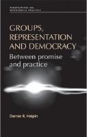 Groups, representation and democracy: Between promise and practice
 9781847793027