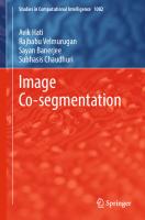 Image Co-segmentation [1st ed. 2023]
 9811985693, 9789811985690