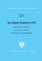 Matrix Positivity
 9781108478717, 9781108778619