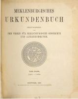 Mecklenburgisches Urkundenbuch / 1351 - 1355 [13]