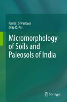 Micromorphology of Soils and Paleosols of India
 9819965594, 9789819965595