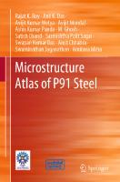 Microstructure Atlas of P91 Steel
 9811995613, 9789811995613