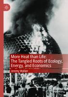 More Heat than Life: The Tangled Roots of Ecology, Energy, and Economics [1st ed.]
 9789811539350, 9789811539367