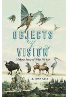 Objects of Vision: Making Sense of What We See (Perspectives on Sensory History)
 2020035744, 0270787615, 9780270787610