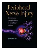 Peripheral Nerve Injury: An Anatomical and Physiological Approach for Physical Therapy Intervention [1st ed.]
 9780803625600