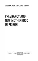 Pregnancy and New Motherhood in Prison
 9781447363408