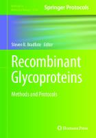Recombinant Glycoproteins: Methods and Protocols (Methods in Molecular Biology, 2762) [1st ed. 2024]
 1071636650, 9781071636657