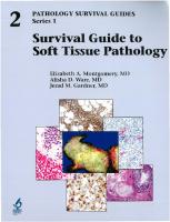 Survival Guide to Soft Tissue Pathology [1 ed.]
 1933477512, 9781933477510
