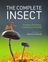 The Complete Insect: Anatomy, Physiology, Evolution, and Ecology
 9780691243108, 9780691243115