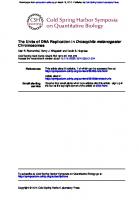 The units of DNA replication in Drosophila melanogaster chromosomes