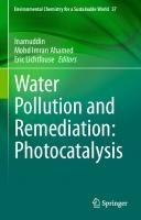 Water Pollution and Remediation: Photocatalysis [1st ed.]
 9783030547226, 9783030547233