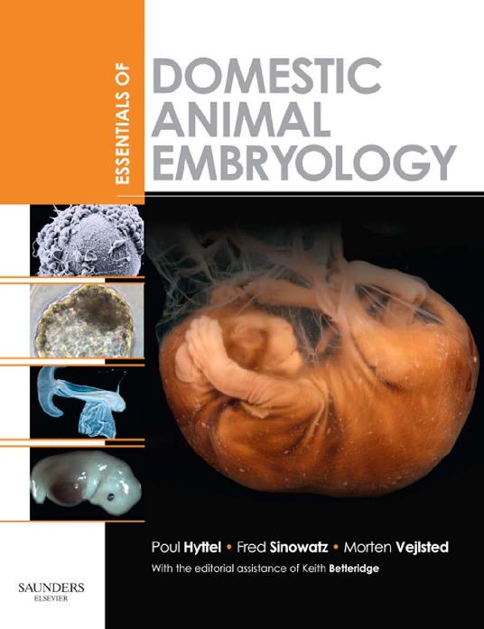Essentials of Domestic Animal Embryology 9780702042591, 0702042595