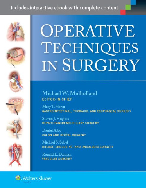 Operative techniques in vascular surgery [Volume 1, 2] 9781451186314,  1451186312, 9781451190205, 1451190204, 9781496319005, 1496319001 