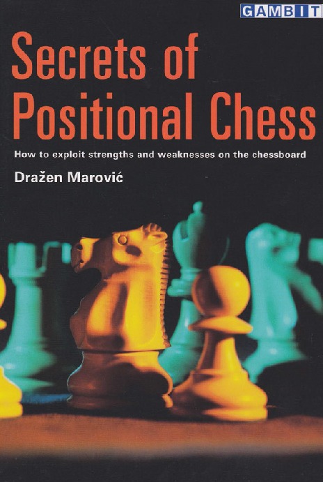 Candidate Master Level Chess Courses by FM Mike Ivanov